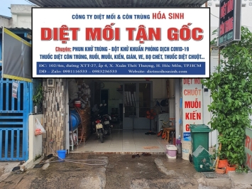 DIỆT MỐI TẠI HÓC MÔN