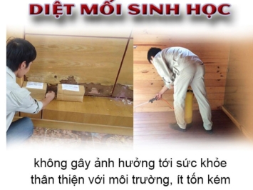 DIỆT MỐI QUẬN 5