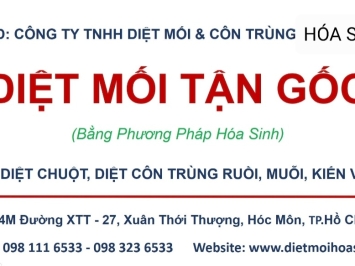 DỊCH VỤ DIỆT MỐI GIÁ RẺ TẠI ĐỨC HÒA, LONG AN