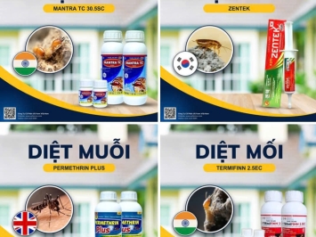 DỊCH VỤ THUỐC DIỆT MỐI & CÔN TRÙNG CHUYÊN NGHIỆP TẠI BÌNH CHÁNH